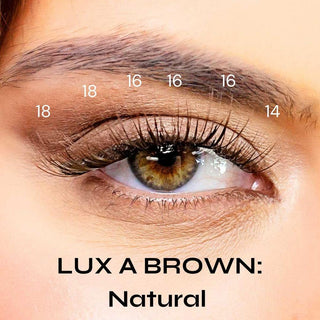 LUX A Brown natural lash map Bundle , , LeCil , retail-only , LeCil , lecil.com.au
