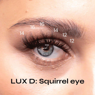 LUX D squirrel eye lash map bundle , , LeCil , retail-only , LeCil , lecil.com.au