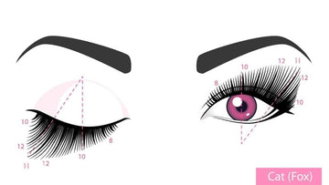 Lash mapping for success part 2. Common lash maps explained - LeCil