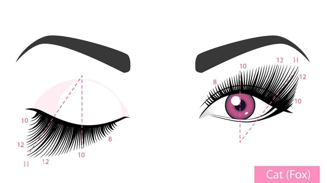 Lash mapping for success part 2. Common lash maps explained